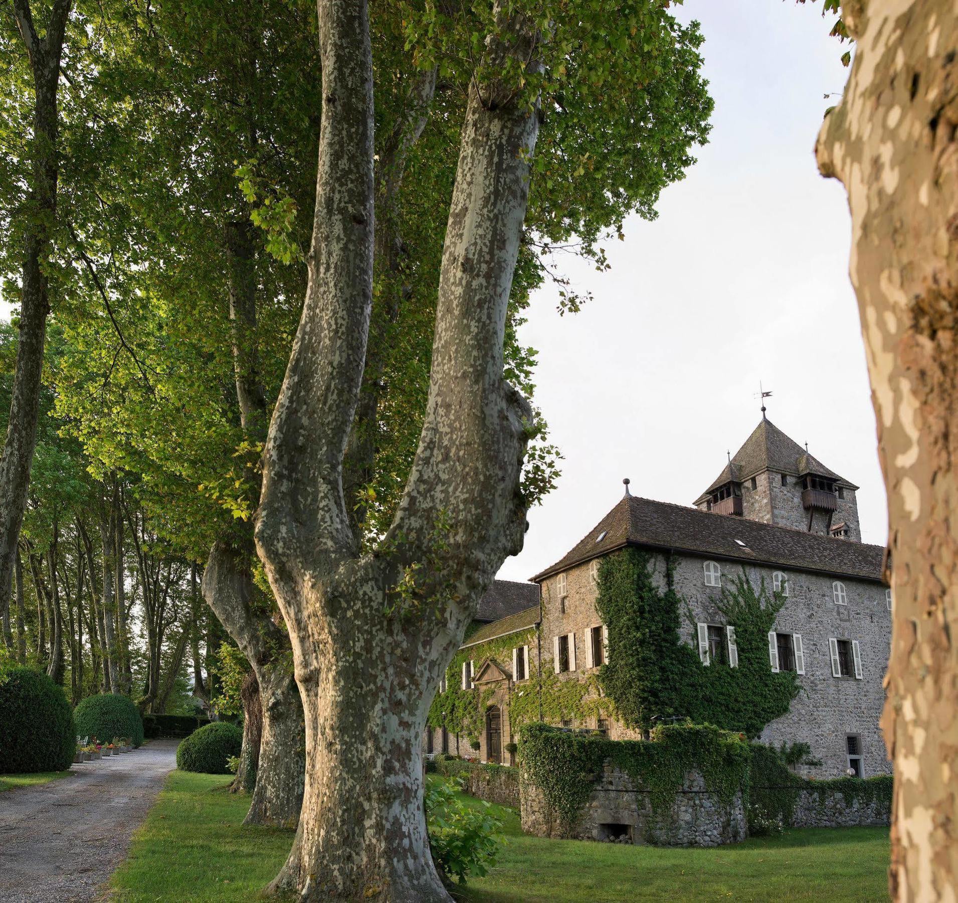 Chateau De Coudree - Les Collectionneurs Сие Екстериор снимка